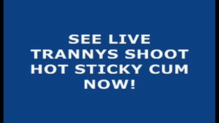 Live Tranny Cum 36