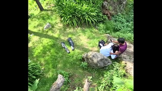 Couple caught having oral sex in public on a hill