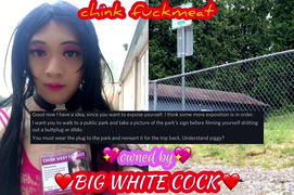 fuckmeat – Public Humiliation at a Park